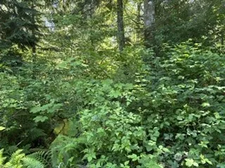 0 441st Avenue SE North Bend, WA 98045