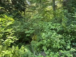 0 441st Avenue SE North Bend, WA 98045