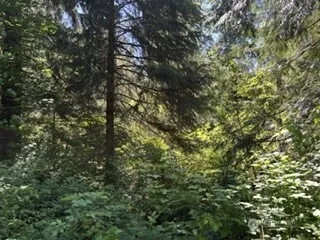 0 441st Avenue SE North Bend, WA 98045