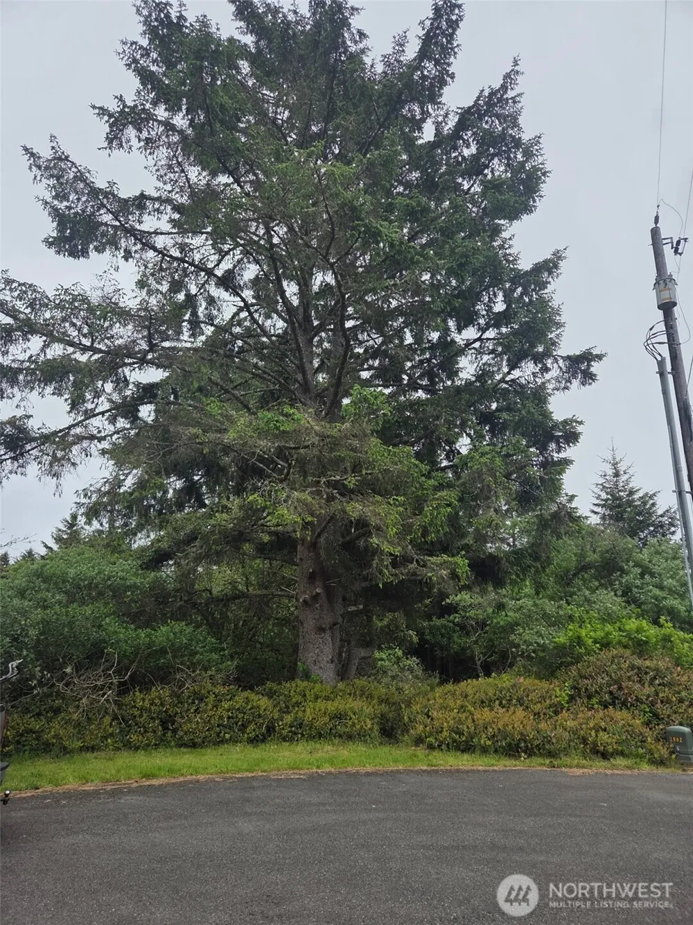624 Wolf Ct SE Ocean Shores, WA 98569