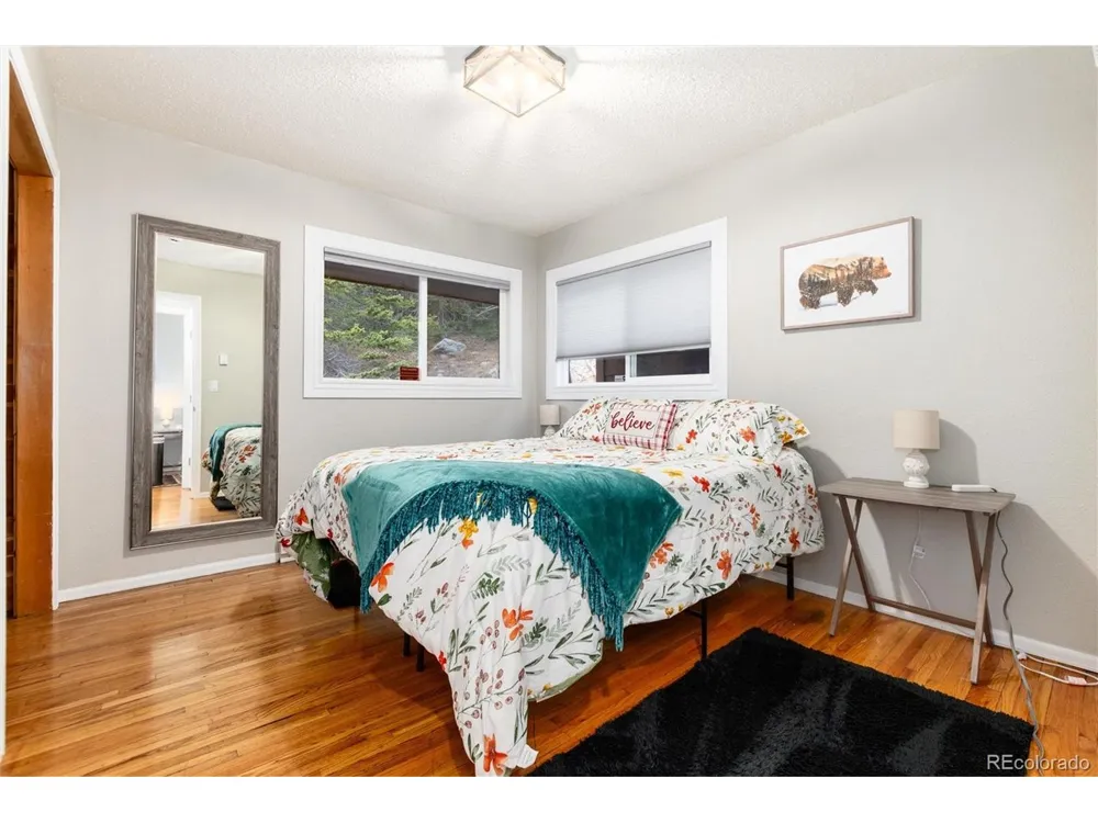 159 Lake Road Idaho Springs, CO 80452
