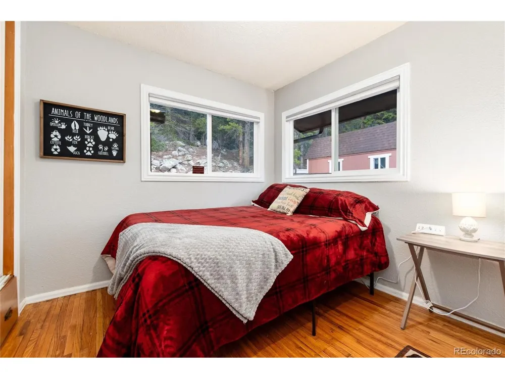 159 Lake Road Idaho Springs, CO 80452