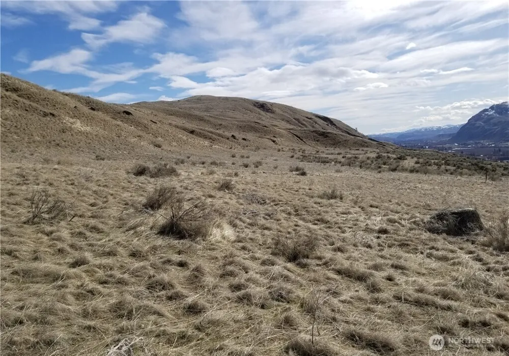 0 Nicholson Road Tonasket, WA 98855