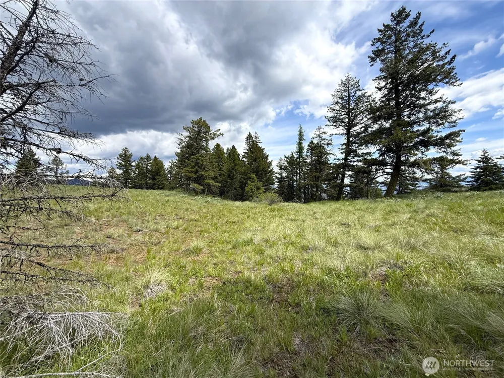 19 Union Ridge Spur Road Republic, WA 99166