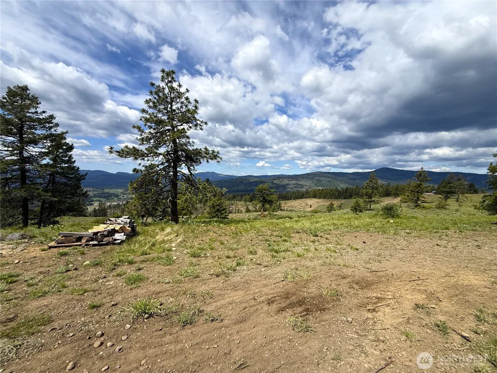 19 Union Ridge Spur Road Republic, WA 99166