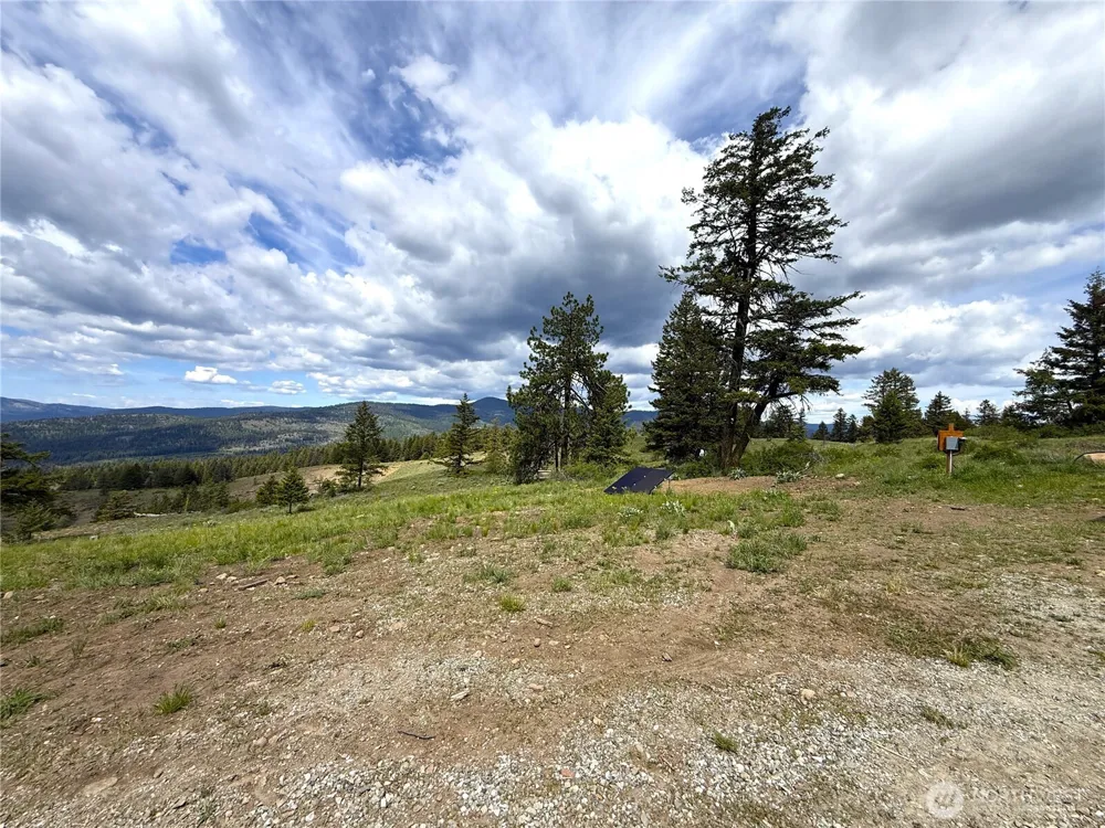 19 Union Ridge Spur Road Republic, WA 99166