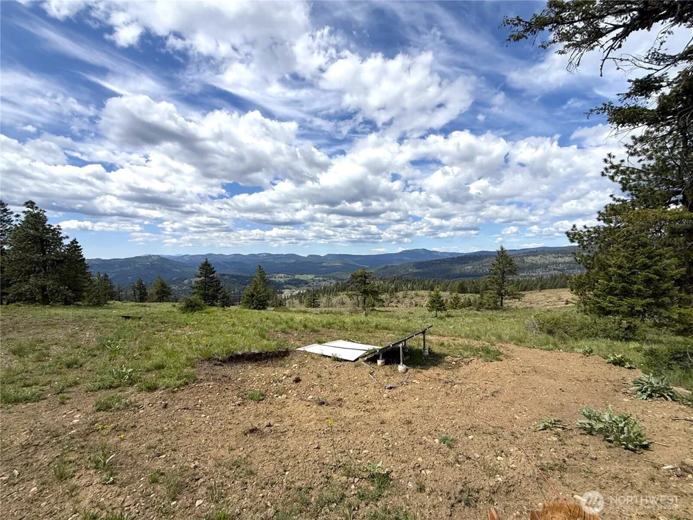 19 Union Ridge Spur Road Republic, WA 99166