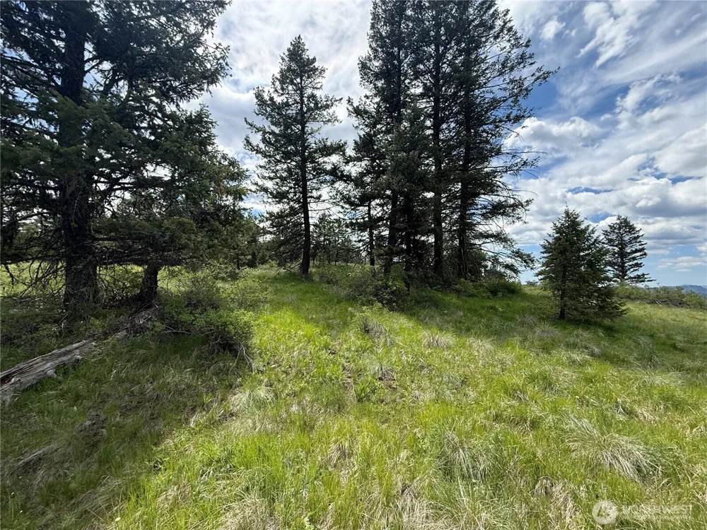 19 Union Ridge Spur Road Republic, WA 99166