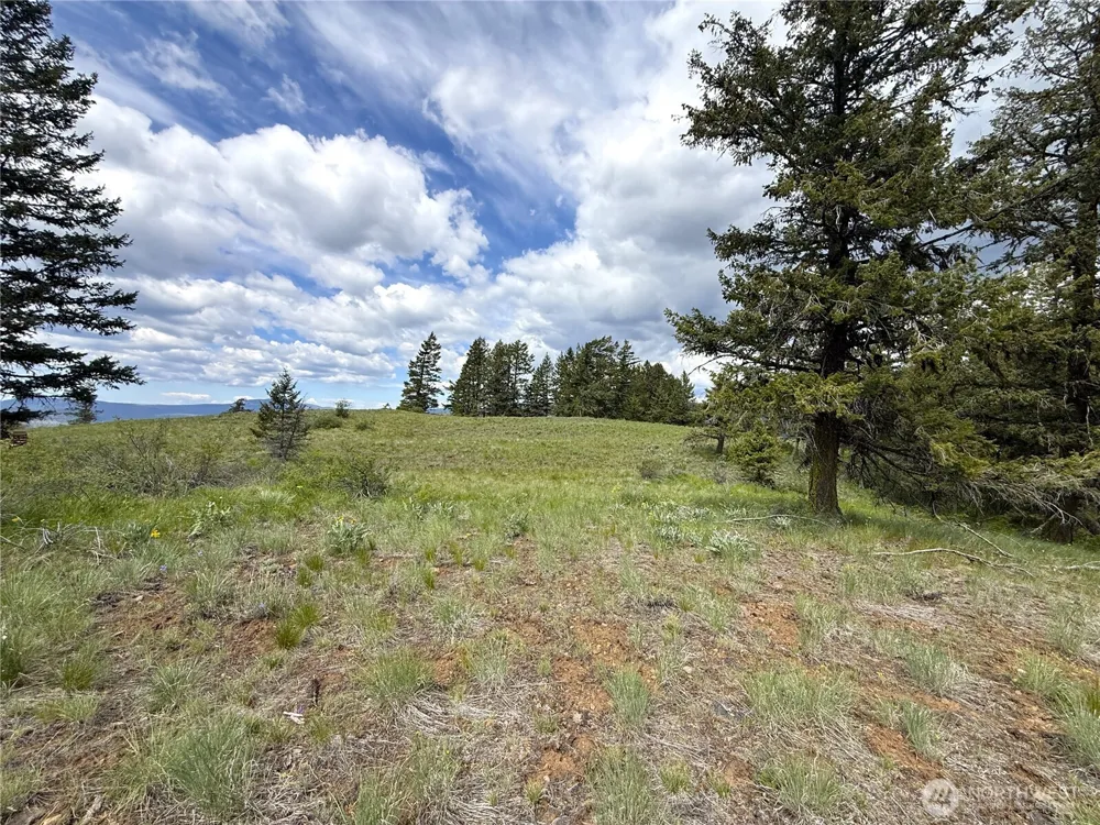 19 Union Ridge Spur Road Republic, WA 99166
