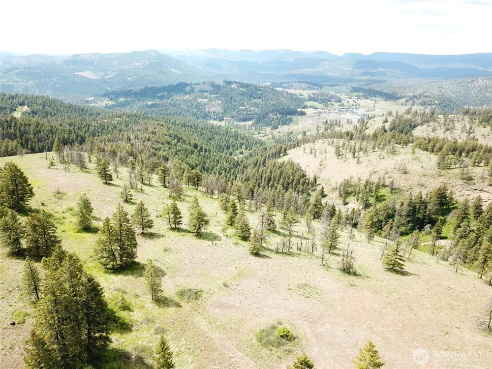 19 Union Ridge Spur Road Republic, WA 99166
