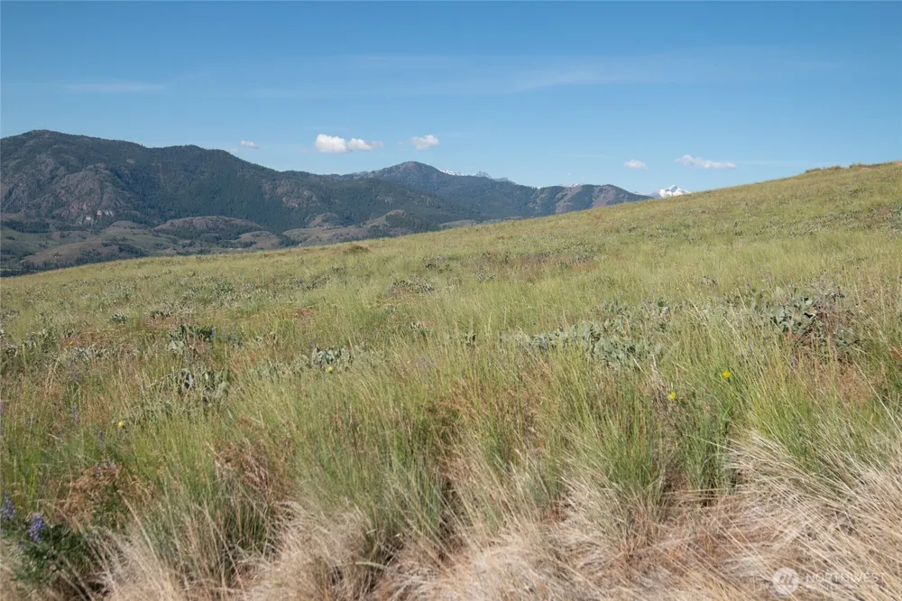 32 Maggies Road Twisp, WA 98856