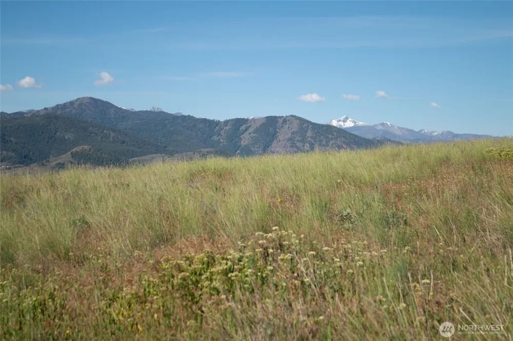 32 Maggies Road Twisp, WA 98856