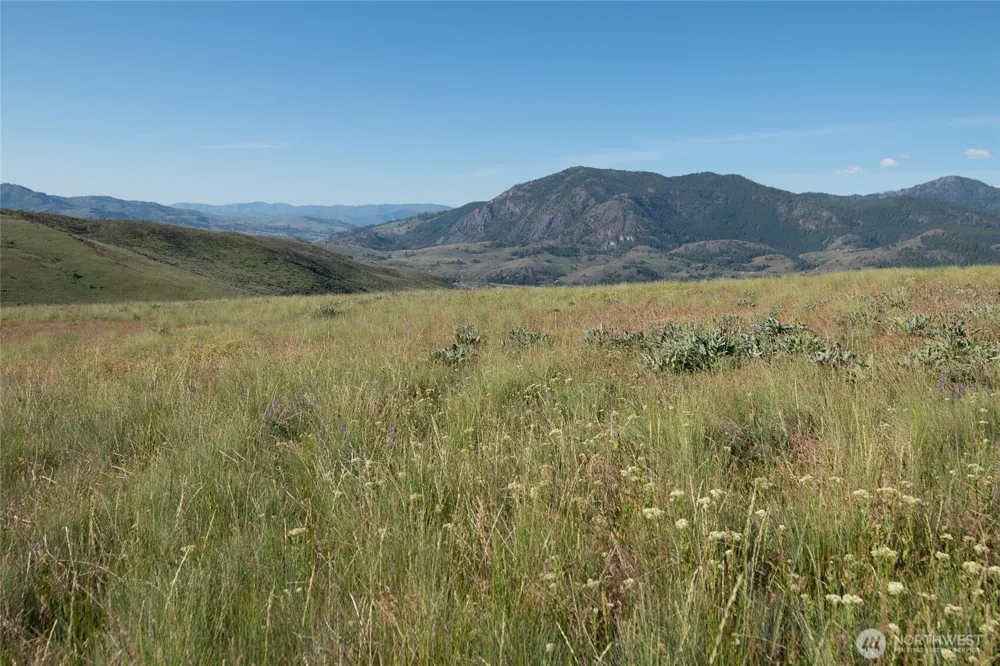 32 Maggies Road Twisp, WA 98856
