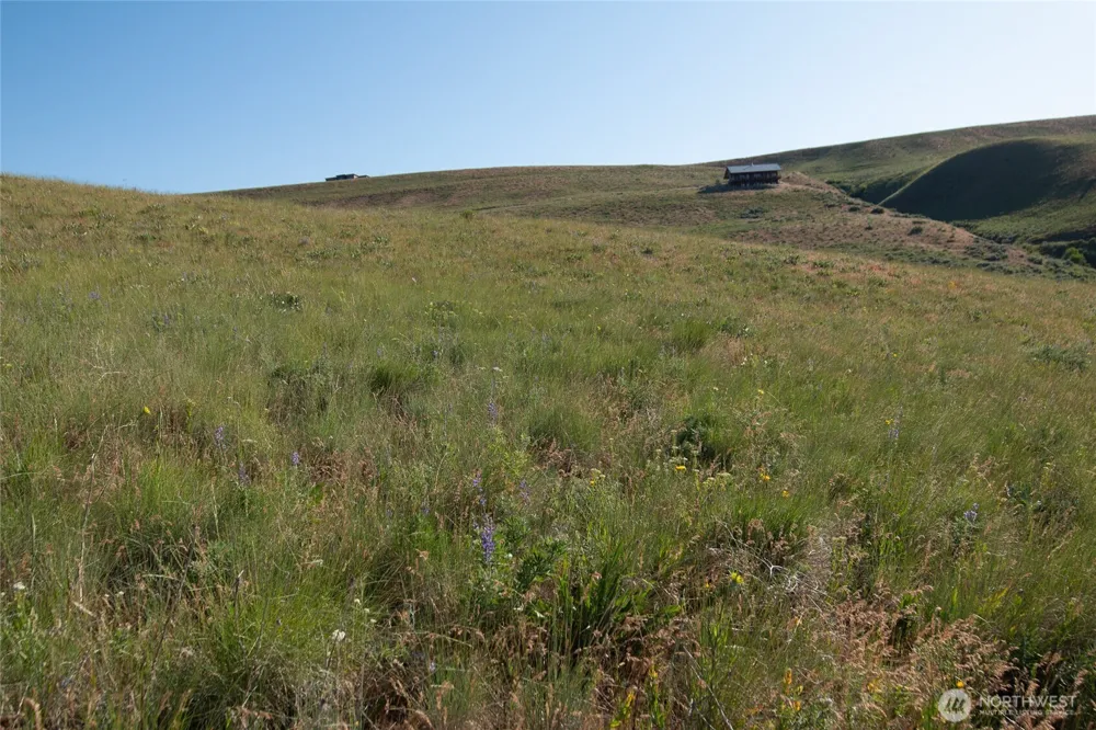 32 Maggies Road Twisp, WA 98856