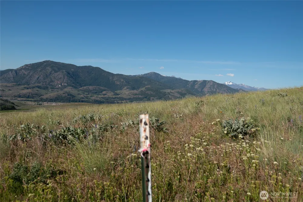 32 Maggies Road Twisp, WA 98856