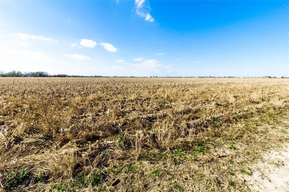 4427 Polak Road Wallis, TX 77485