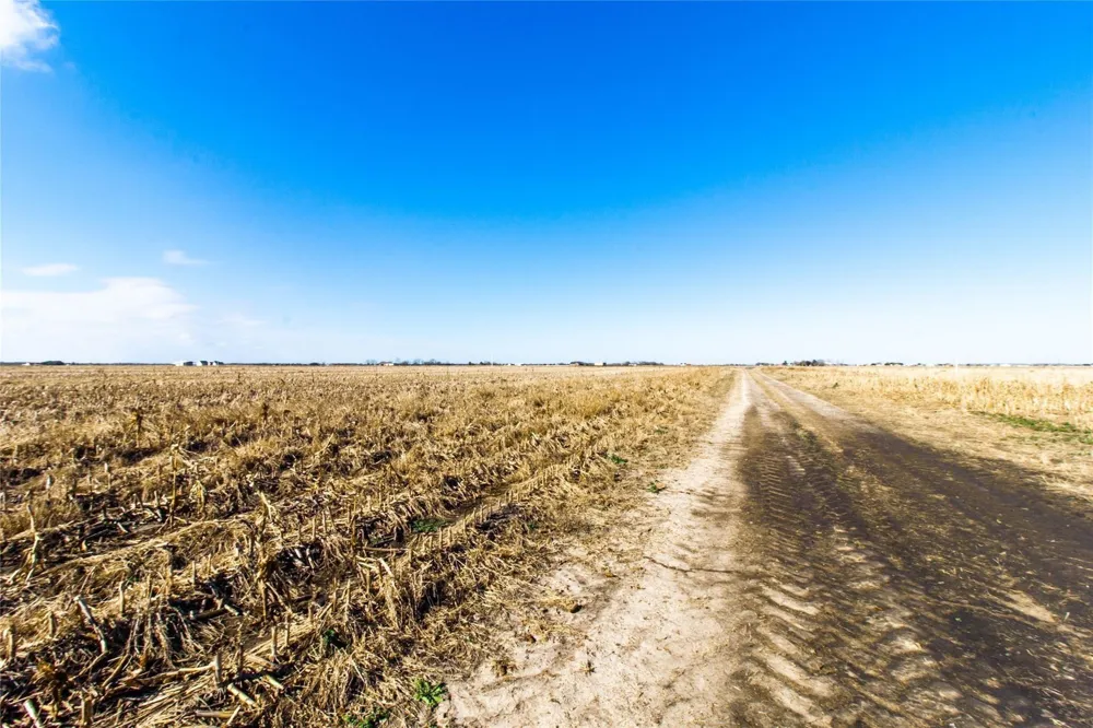 4427 Polak Road Wallis, TX 77485