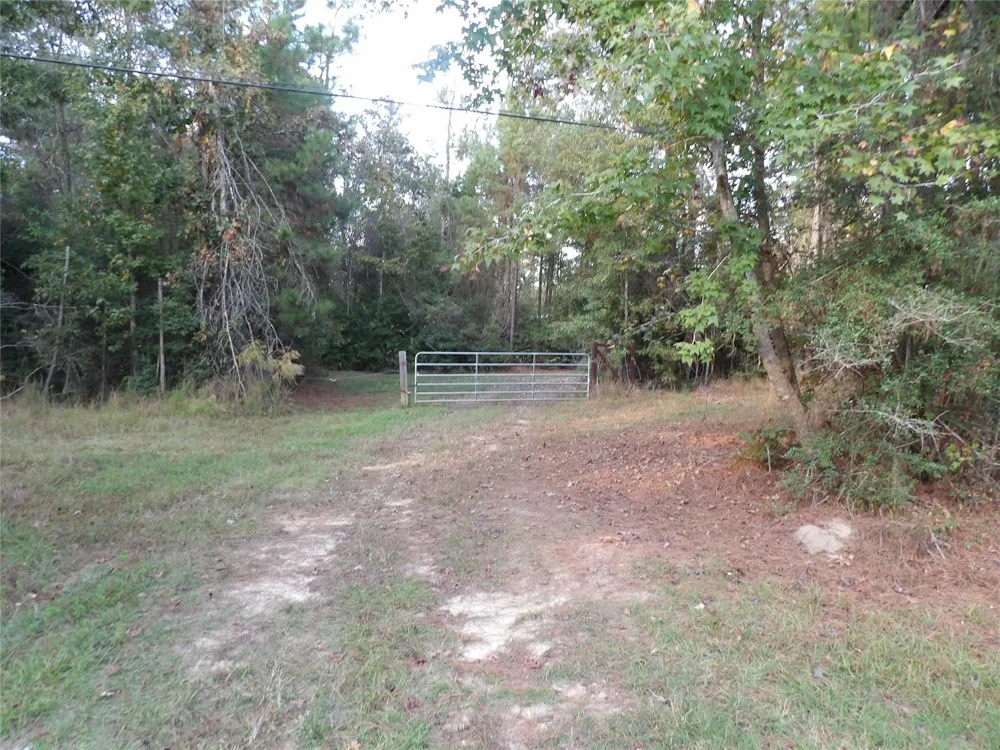 Fm 1013 Spurger, TX 77660