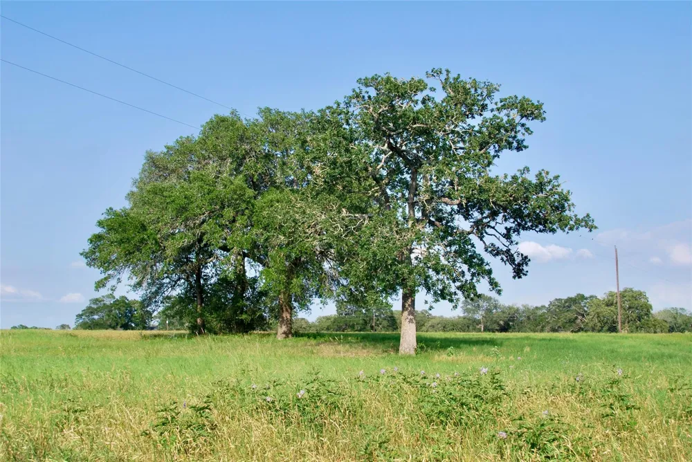 3545 E I 10 Frontage Road Schulenburg, TX 78956