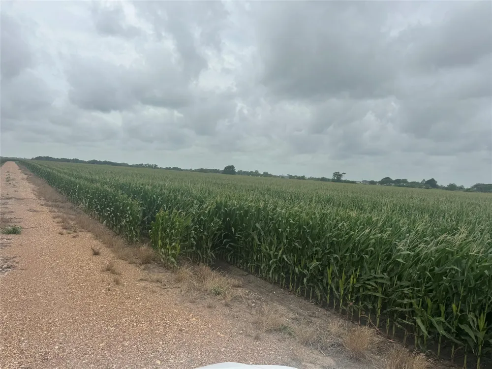 Fm 1162 Wharton, TX 77437