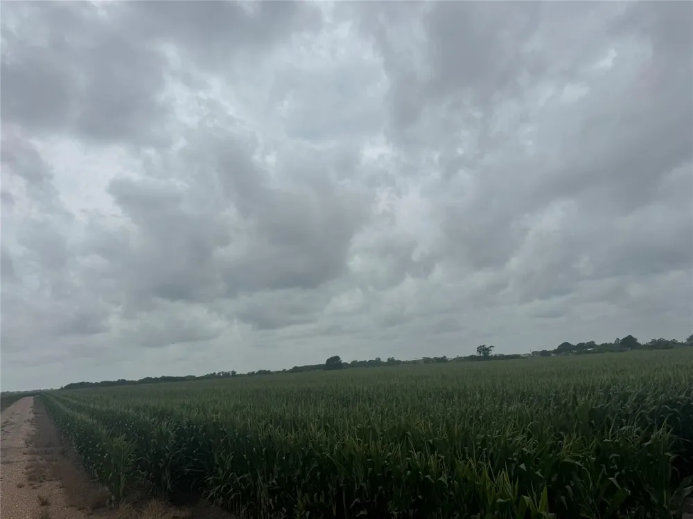Fm 1162 Wharton, TX 77437