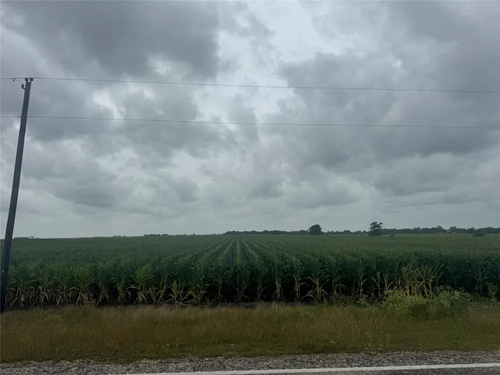 Fm 1162 Wharton, TX 77437