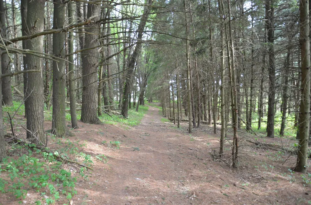 11475 Gorsline Road Pennfield Charter Township, MI 49014