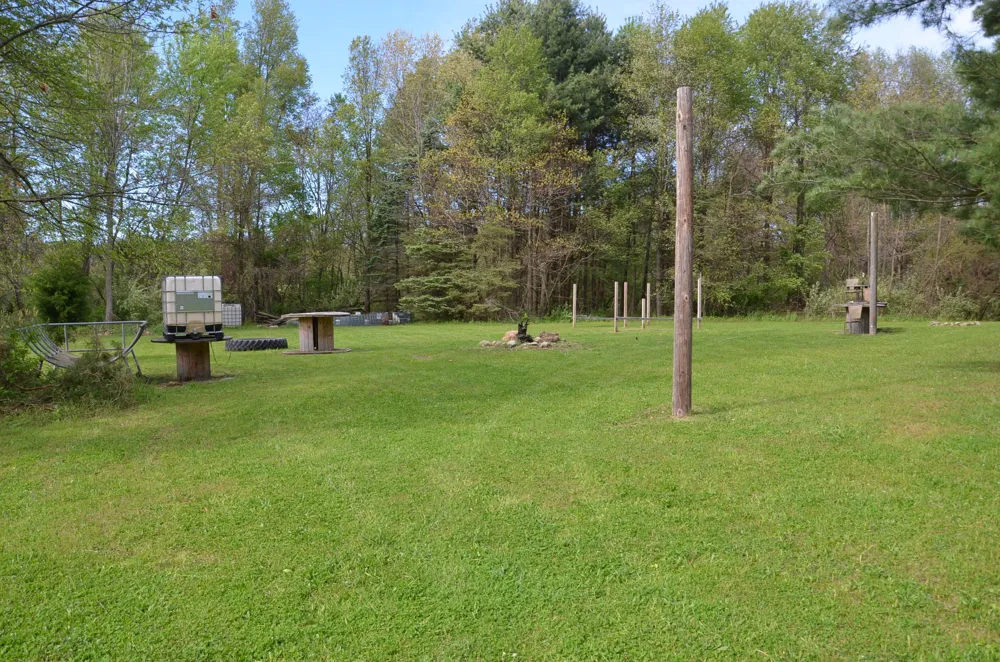 11475 Gorsline Road Pennfield Charter Township, MI 49014