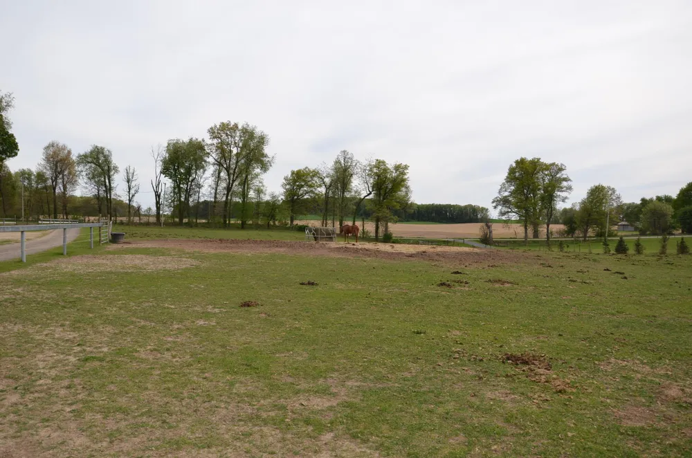 11475 Gorsline Road Pennfield Charter Township, MI 49014