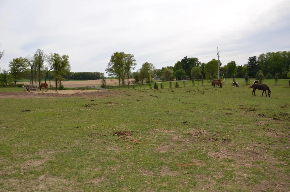 11475 Gorsline Road Pennfield Charter Township, MI 49014