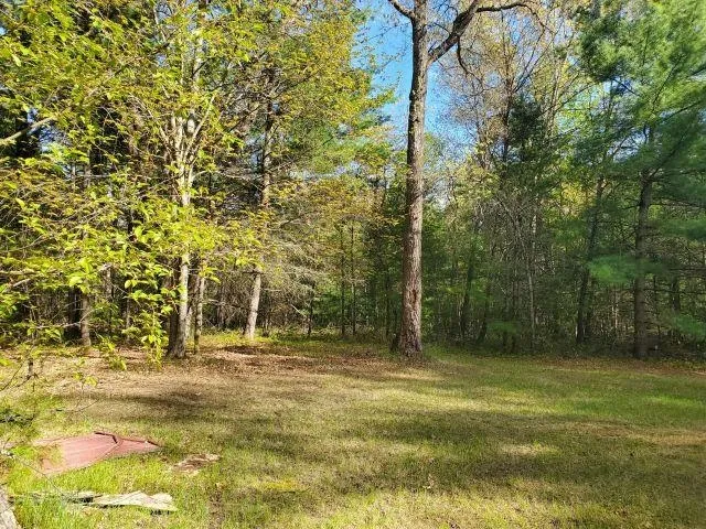 4022 Chippewa Trail Plainfield Township, MI 48739