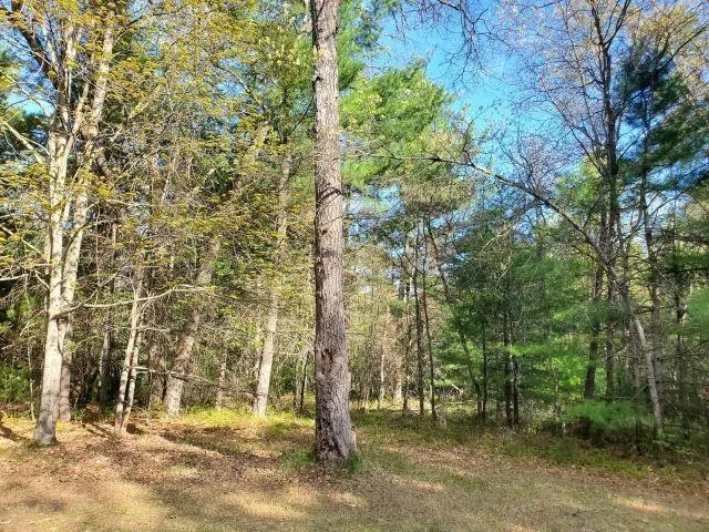 4022 Chippewa Trail Plainfield Township, MI 48739