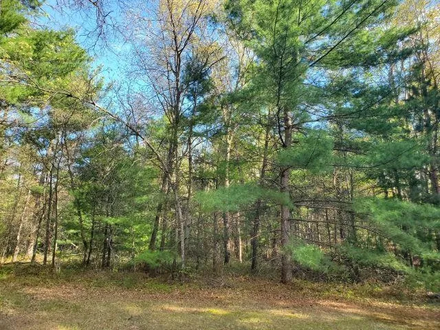 4022 Chippewa Trail Plainfield Township, MI 48739