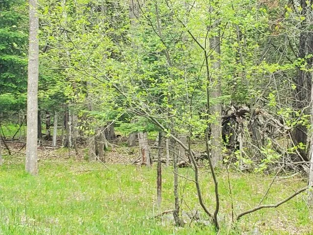 44 Rolling Hills Drive West Branch Township, MI 48661