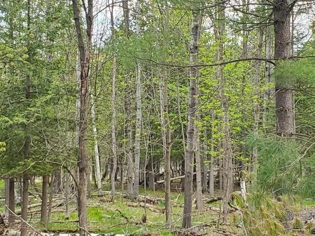 44 Rolling Hills Drive West Branch Township, MI 48661