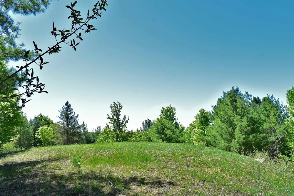 570 Michael Avenue Blair Township, MI 49685