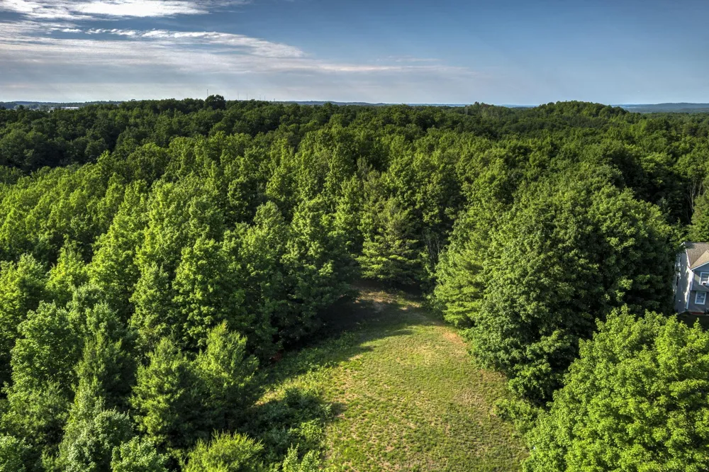 570 Michael Avenue Blair Township, MI 49685