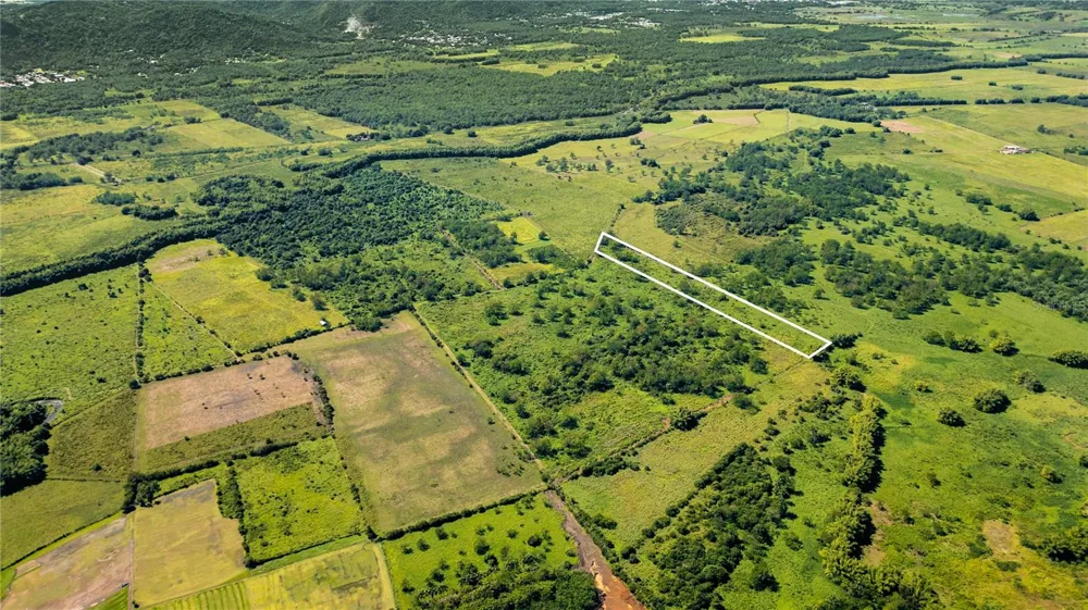 2 KM 162 BENAVENTE ROAD #726 Hormigueros, PR 00660