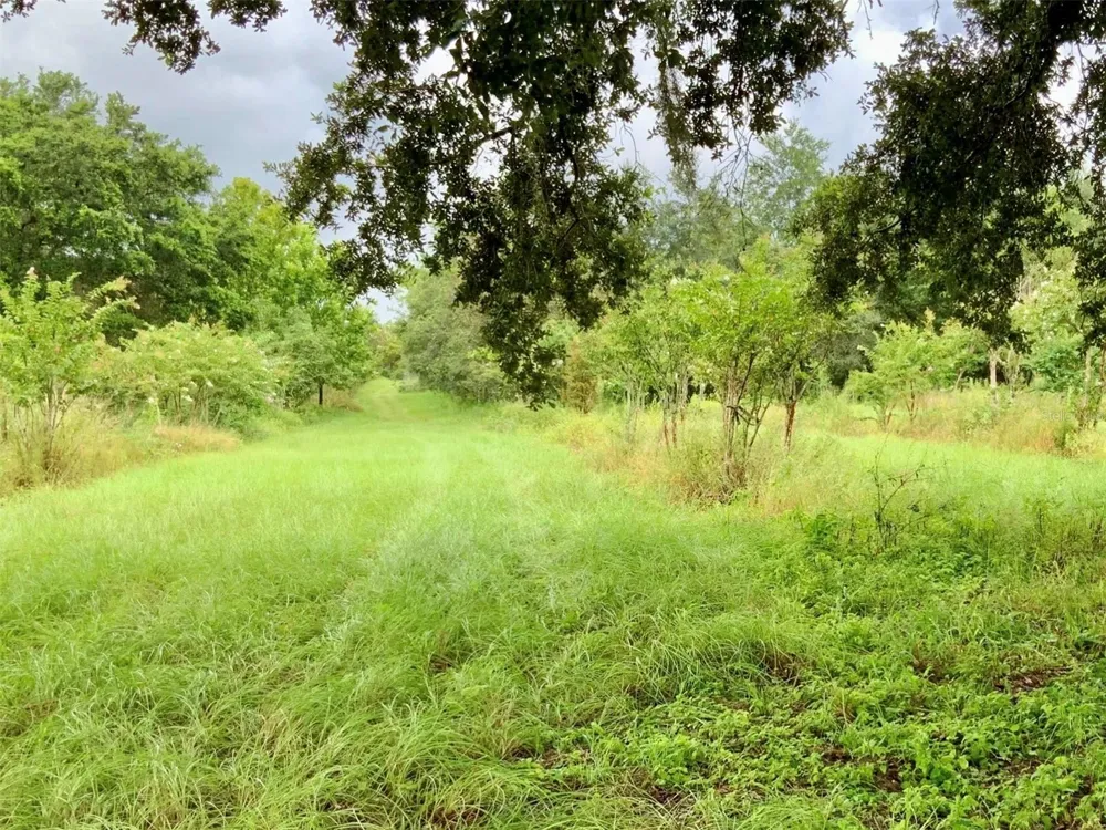 5079 ONDICH ROAD Apopka, FL 32712