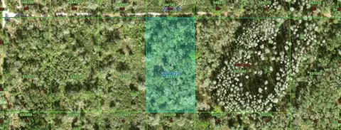 INACCESSIBLE TRACT