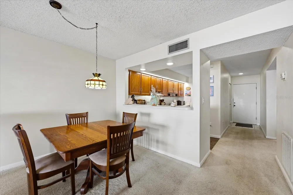 818 BAHIA DEL SOL DRIVE #28 Ruskin, FL 33570