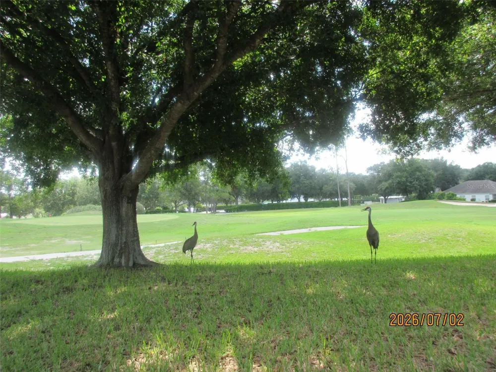 4835 SABLE RIDGE COURT Leesburg, FL 34748