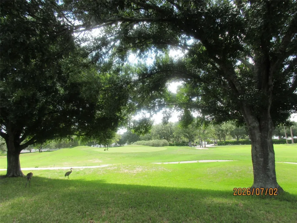 4835 SABLE RIDGE COURT Leesburg, FL 34748