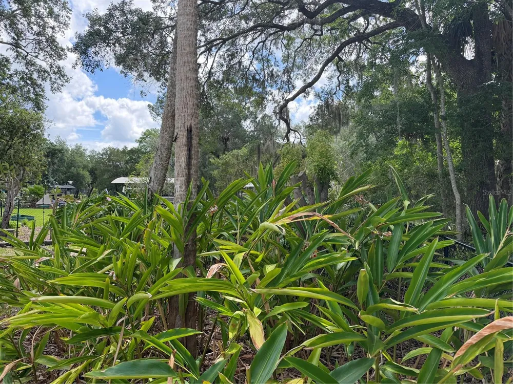 11878 W RIVERHAVEN DRIVE Homosassa, FL 34448
