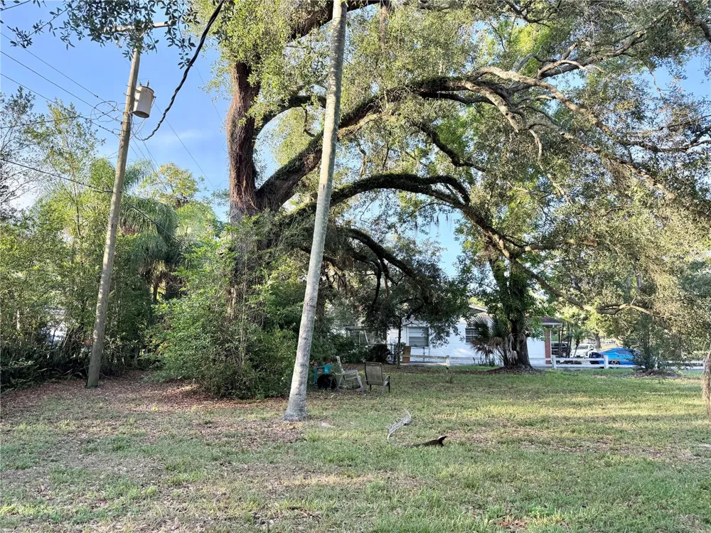 304 SPRINGDALE PLACE Temple Terrace, FL 33617
