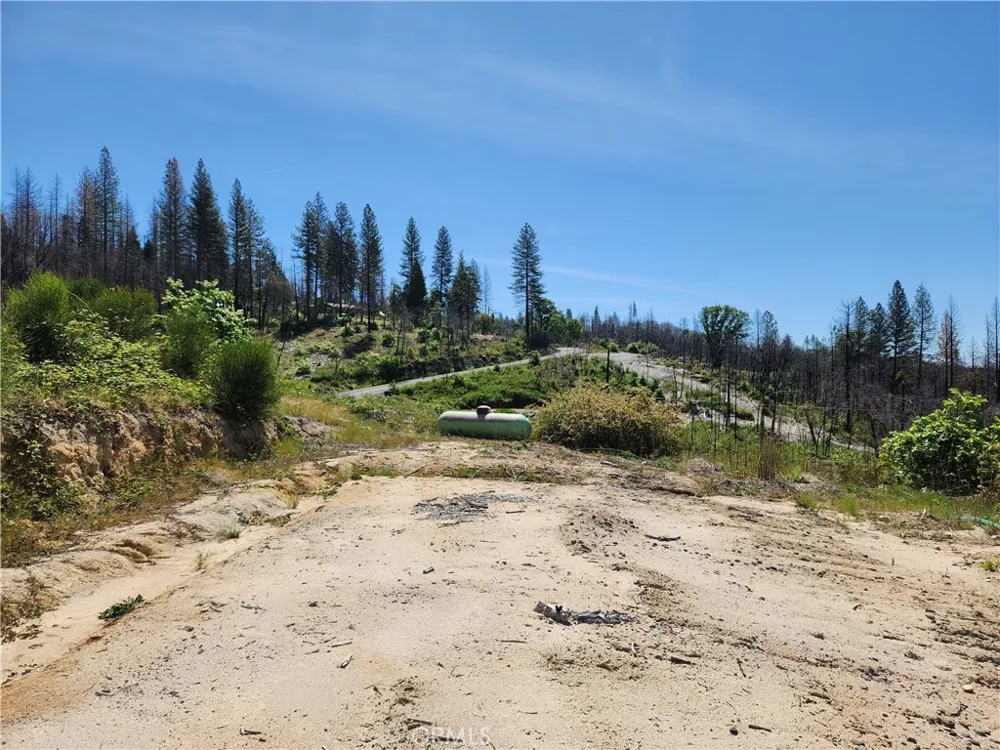 2175 Bald Rock Road Berry Creek, CA 95916
