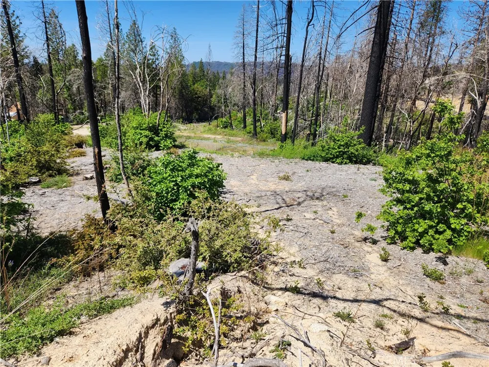 2175 Bald Rock Road Berry Creek, CA 95916