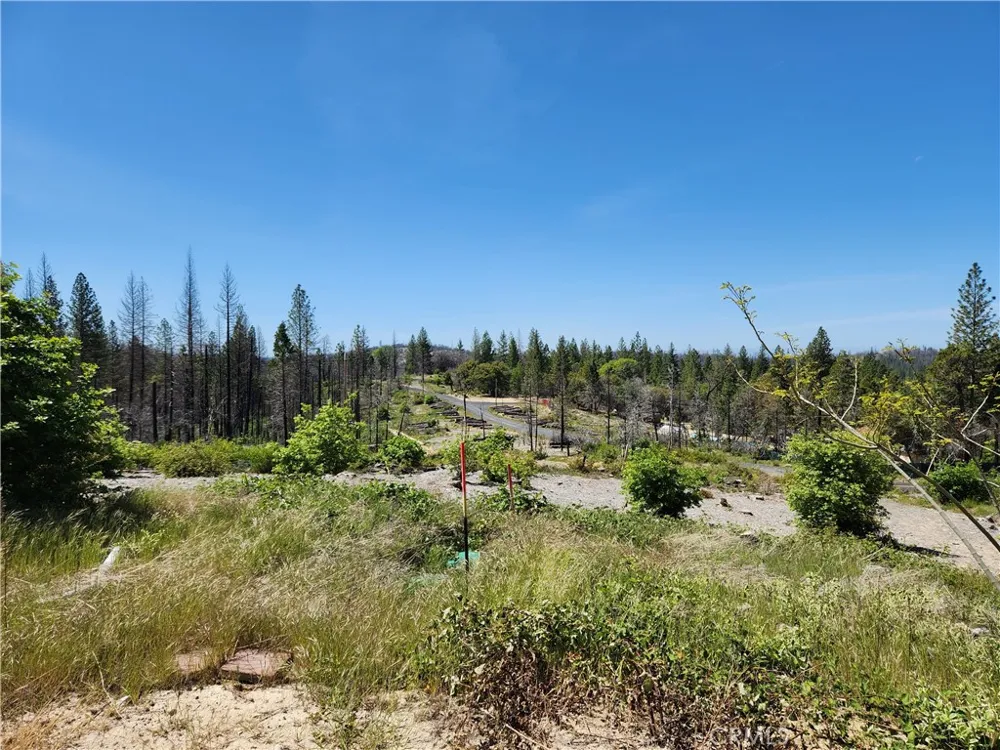 2175 Bald Rock Road Berry Creek, CA 95916