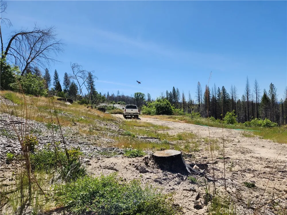 2175 Bald Rock Road Berry Creek, CA 95916