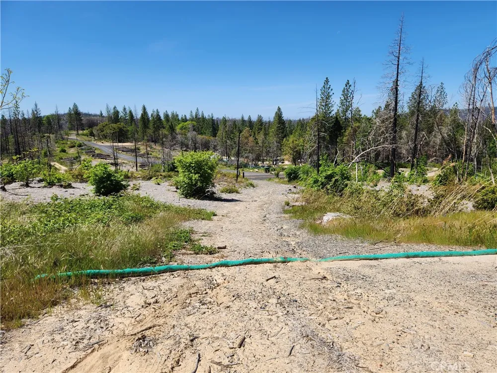 2175 Bald Rock Road Berry Creek, CA 95916